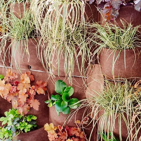 Appartement San Tommaso *