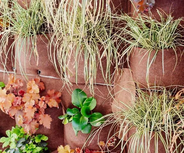 Appartement San Tommaso *